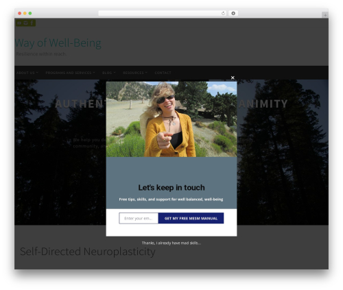 WordPress website theme Nirvana - wayofwell-being.com