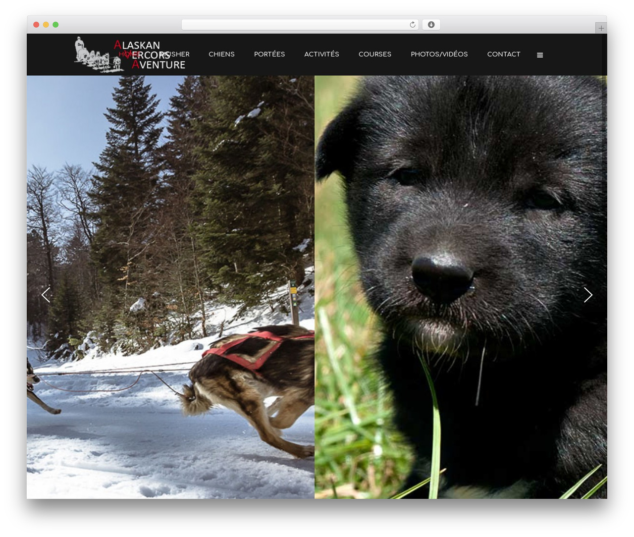 Elision WordPress theme - alaskanvercorsaventure.com