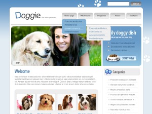 AMCA WP theme AMCA WP theme