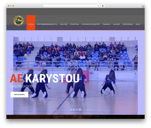 BigSlam WordPress theme design - aekarystou.gr
