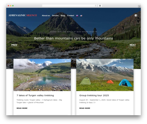 Cherry Framework WP theme - adrenalinicsilence.kz