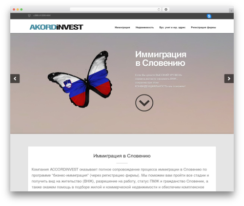 Dynamo WordPress theme - accord-media.com
