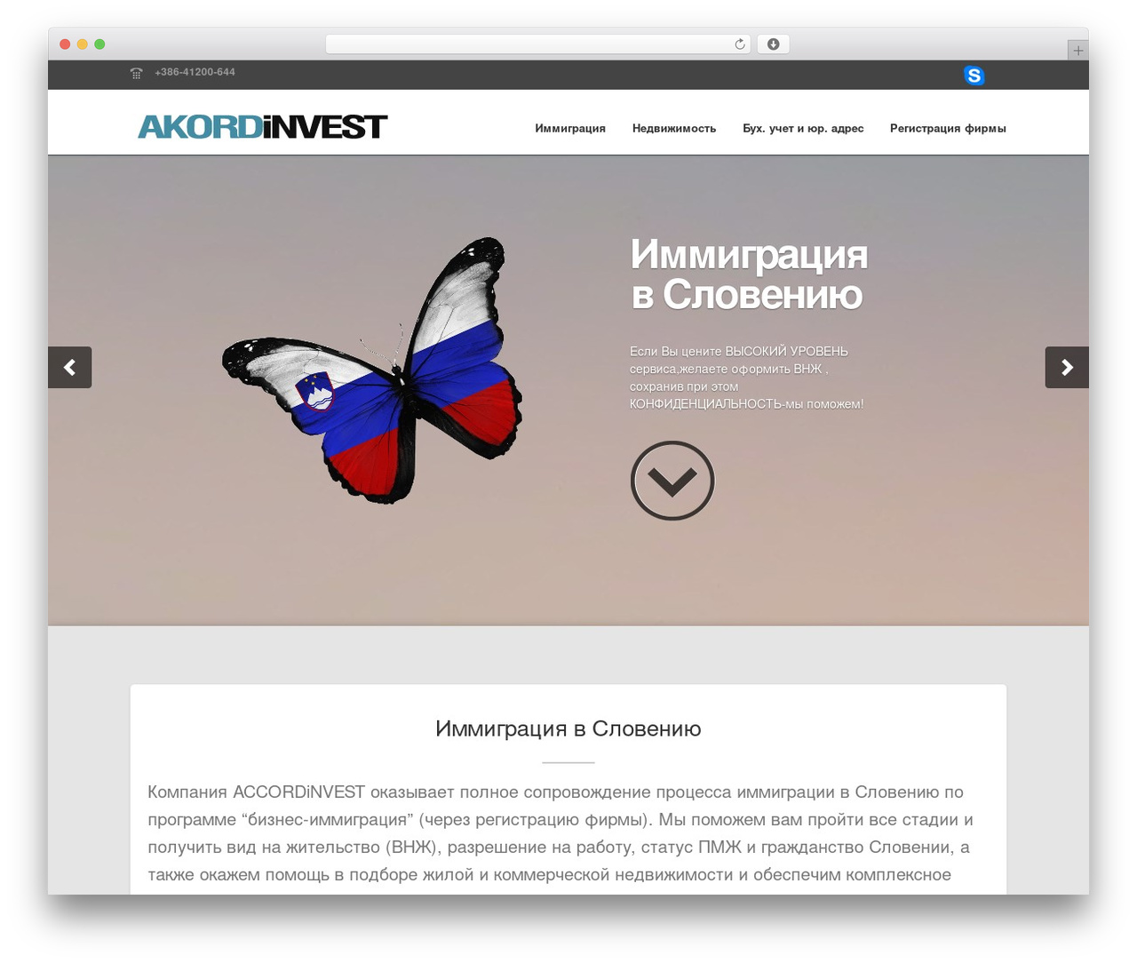 Dynamo WordPress theme - accord-media.com