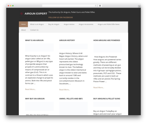Executive Pro Theme WordPress website theme - airgunexpert.com
