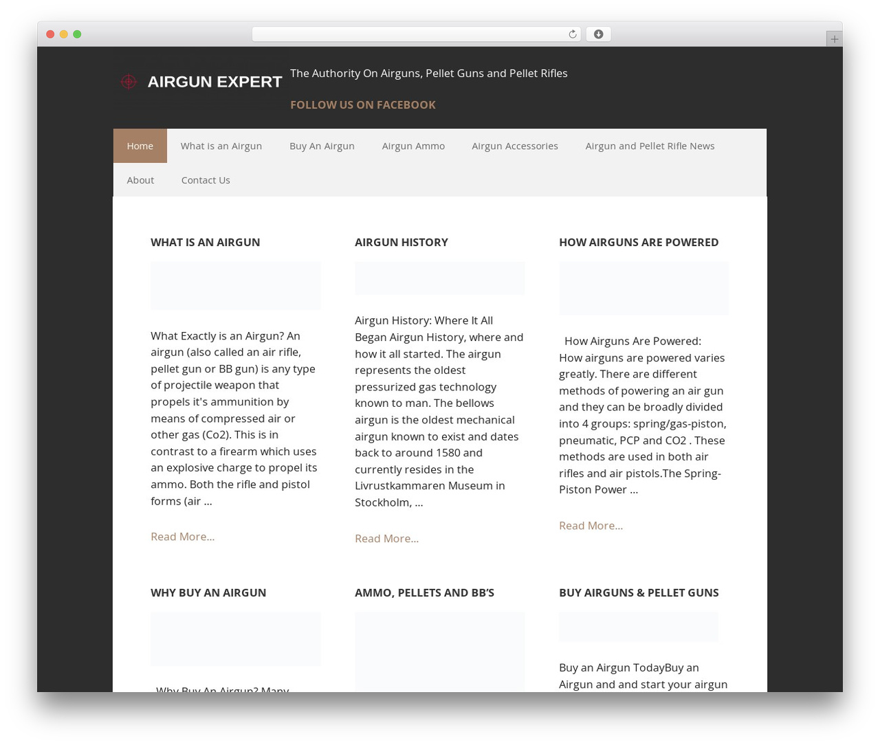Executive Pro Theme WordPress website theme - airgunexpert.com Executive Pro Theme WordPress website theme - airgunexpert.com