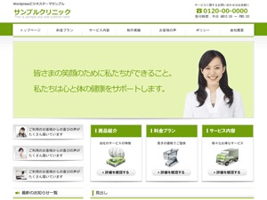theme155 WordPress website theme