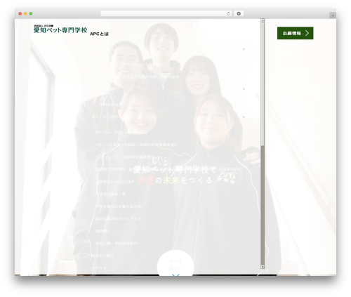 Tcd workflow WordPress plugin - aichipet.com