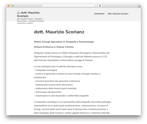 Atomic Blocks WordPress theme - scorianz.com