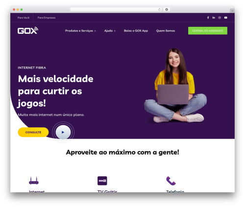 Rselements WordPress plugin - gox.com.br