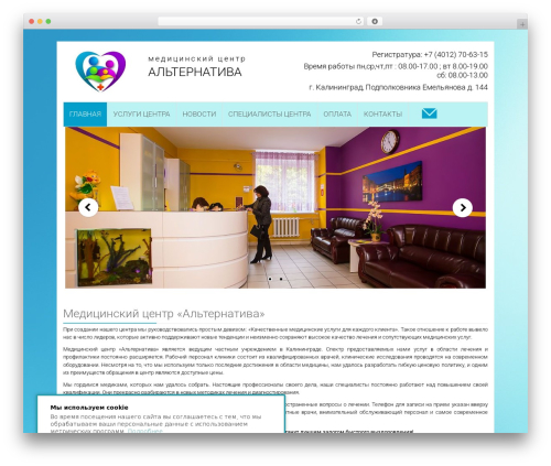 MultiSite WordPress theme design - alternativa39.ru