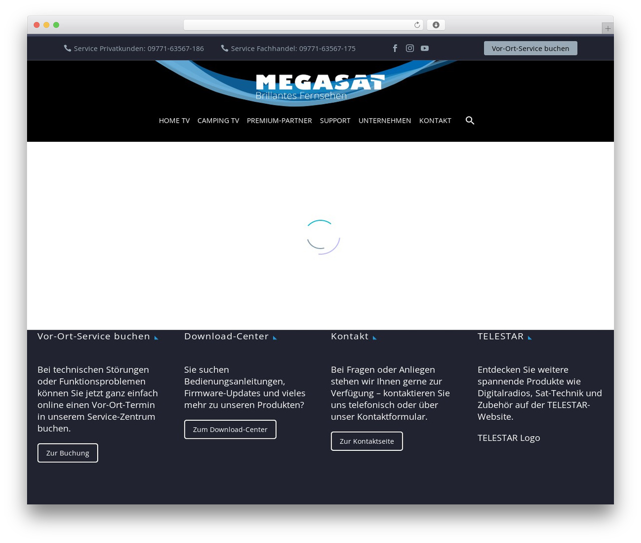 Megasat4 WordPress theme - megasat.tv