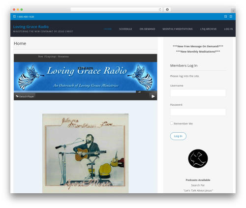 Theme WordPress Profine - joyfulsanity.com