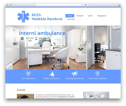 WordPress theme Divi - internilekarka.cz