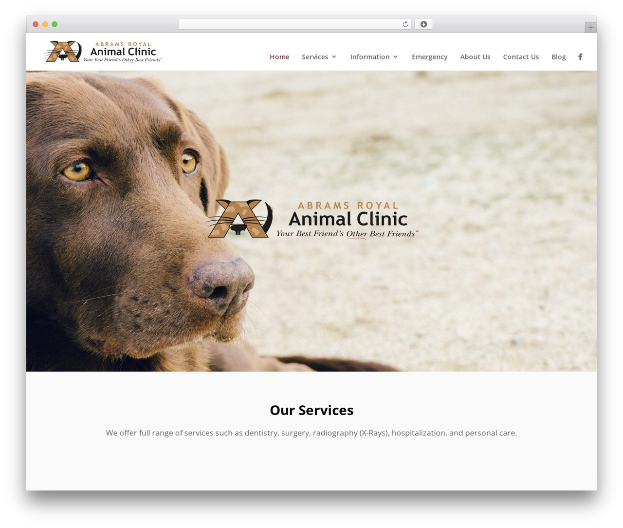 Divi theme WordPress - abramsroyalanimalclinic.com Divi theme WordPress - abramsroyalanimalclinic.com