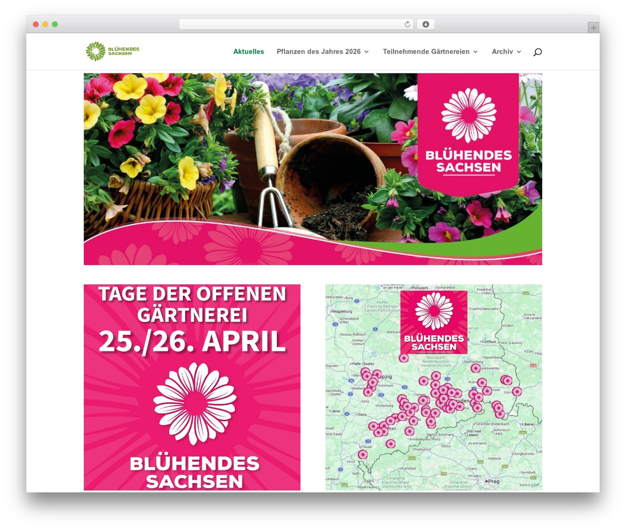 Divi theme WordPress - bluehendes-sachsen.de Divi theme WordPress - bluehendes-sachsen.de