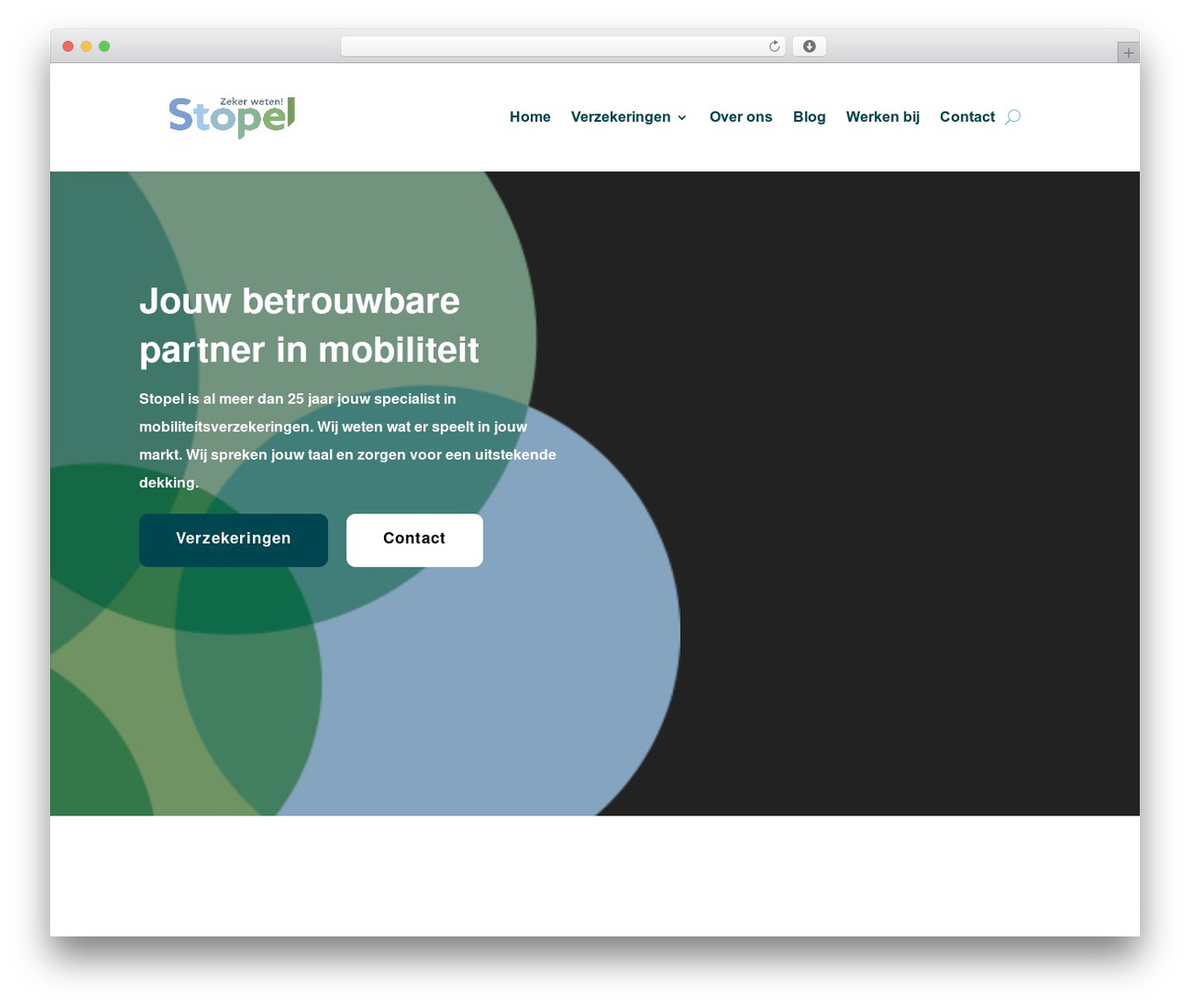 Divi theme WordPress - stopel.nl