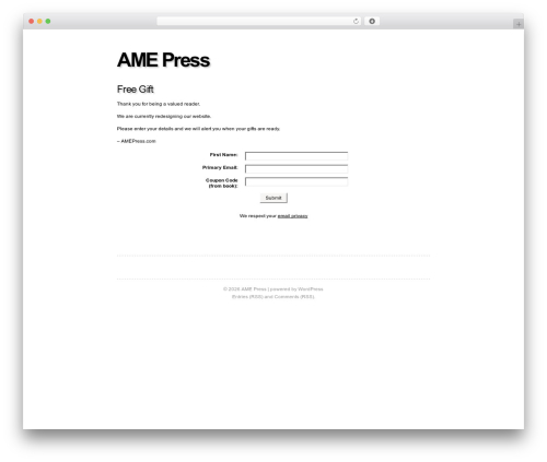 Fiver WordPress theme - amepress.com