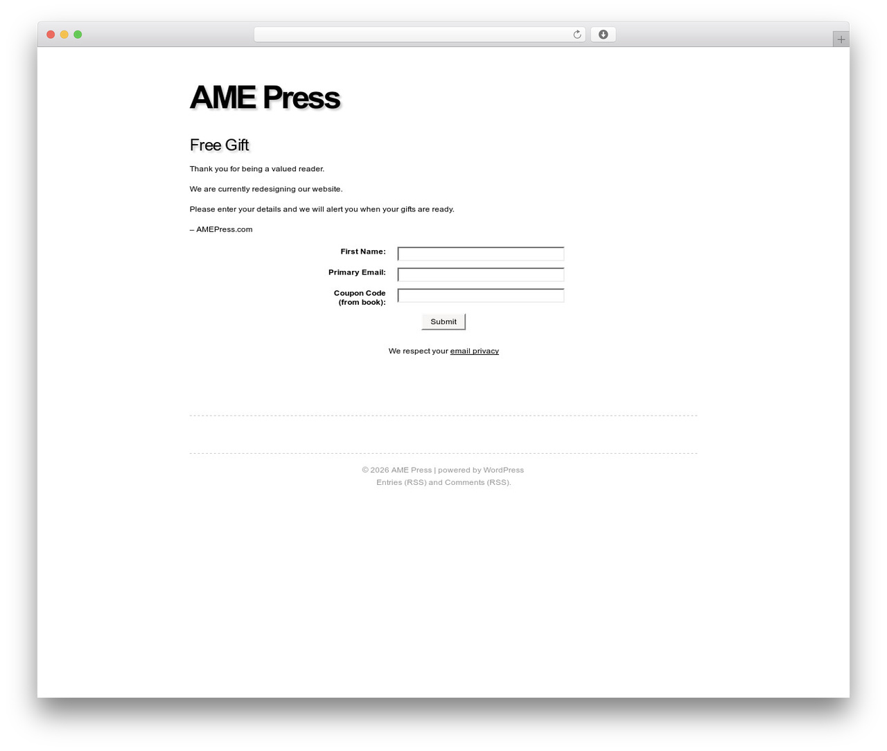 Fiver WordPress theme - amepress.com