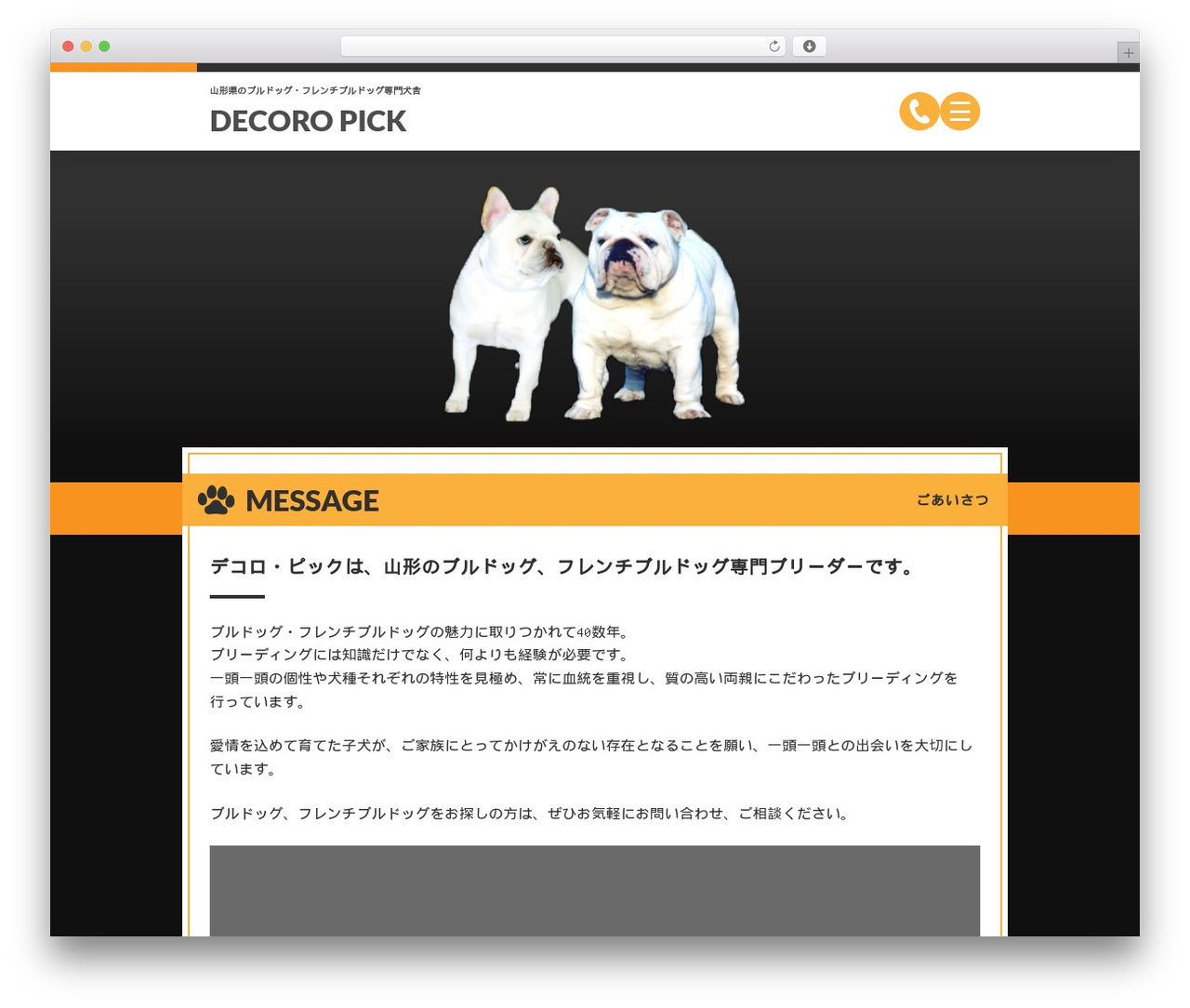 Theme WordPress デコロ・ピック - decoropick.com