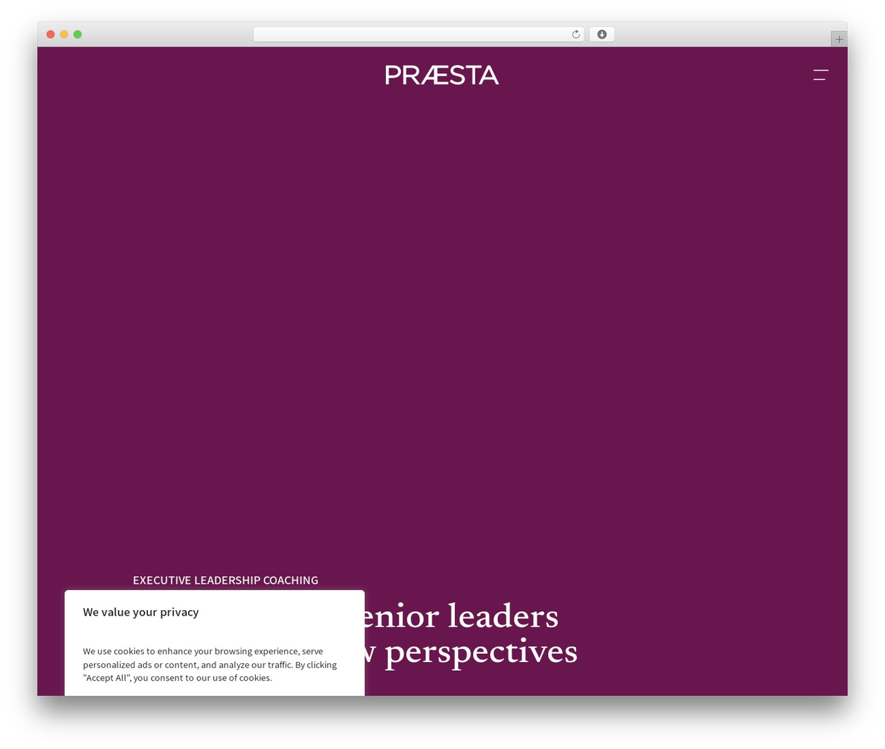 Theme WordPress Salient Child Theme - praesta.com