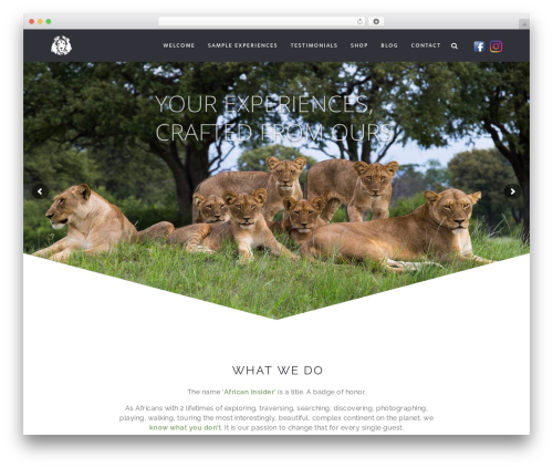 TheOne WordPress theme - africaninsider.co.za