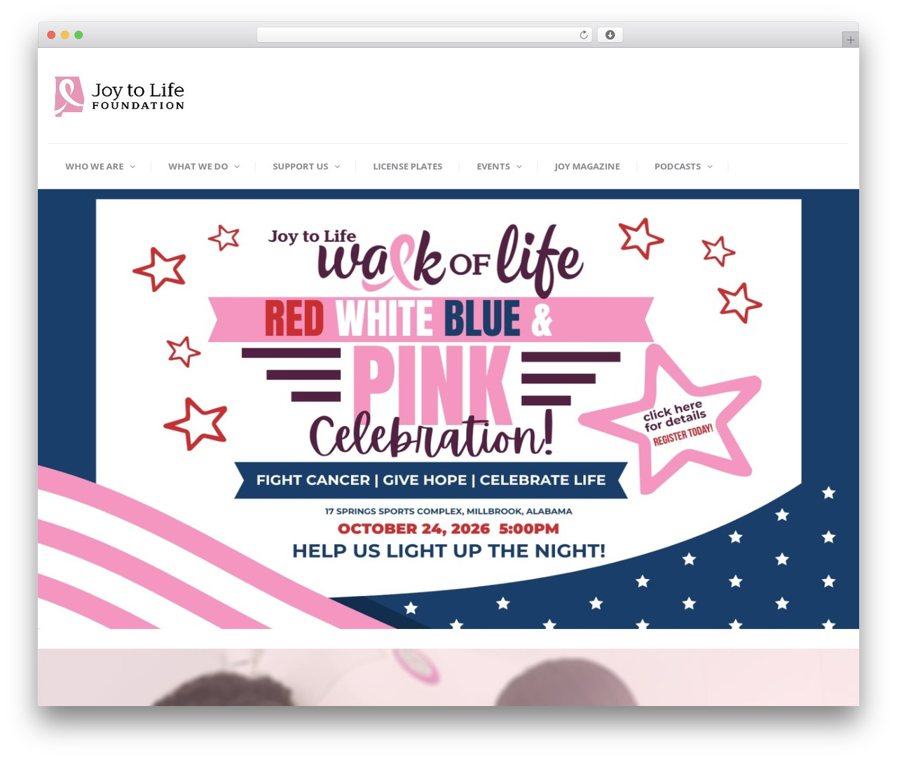 WordPress theme CharityWP - liveheregivehere.org