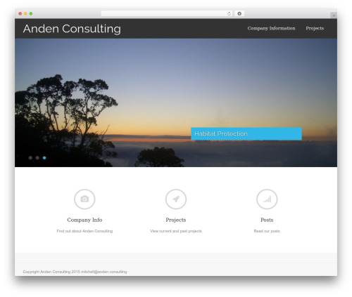 Asteria Lite theme WordPress - anden.consulting