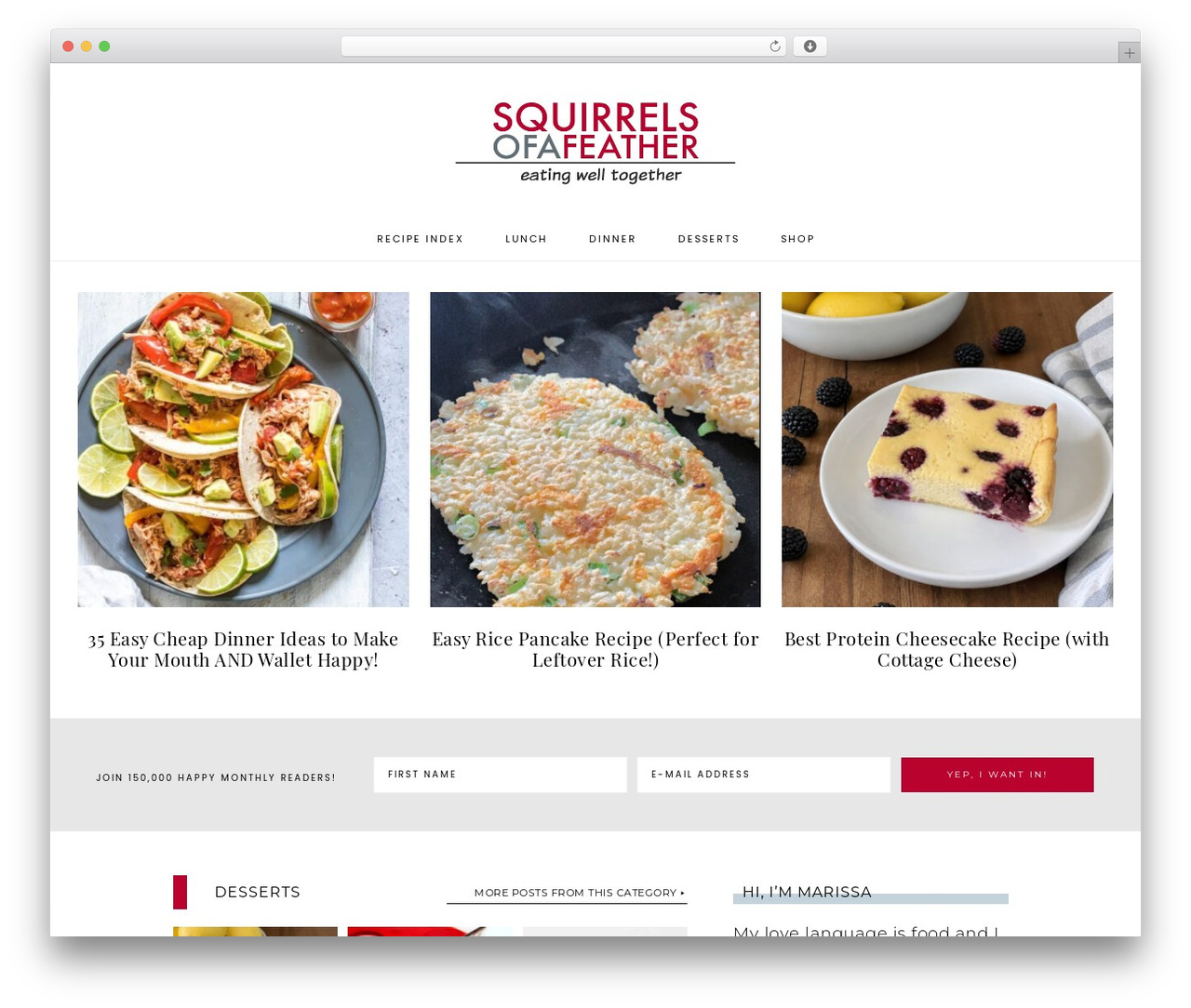 Captivating Theme WordPress theme - squirrelsofafeather.com