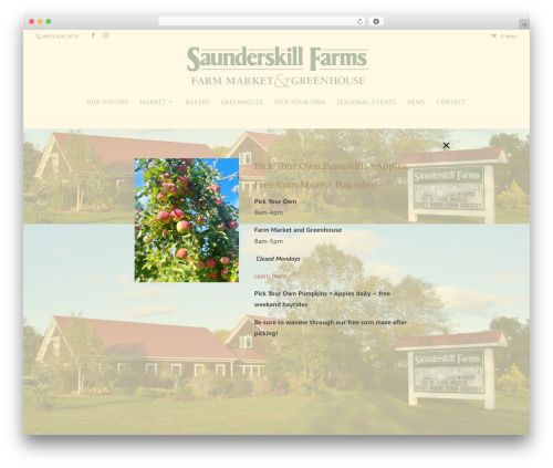 Divi accessibility 2.0.5 WordPress plugin - saunderskill.com