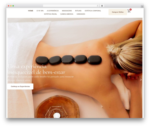 Hello Elementor WP theme - wspa.com.br