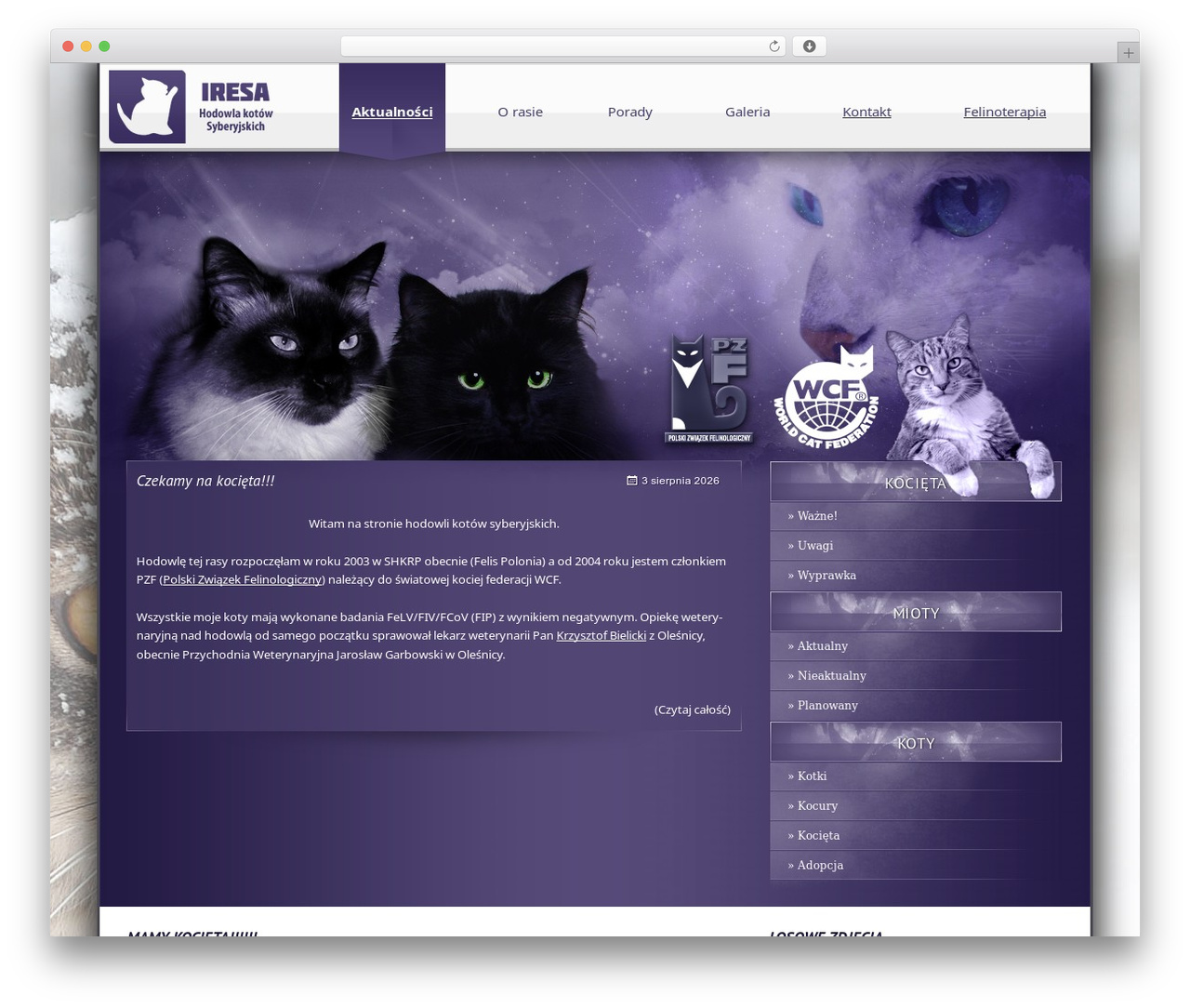 Iresa Theme theme WordPress - iresa.pl Iresa Theme theme WordPress - iresa.pl