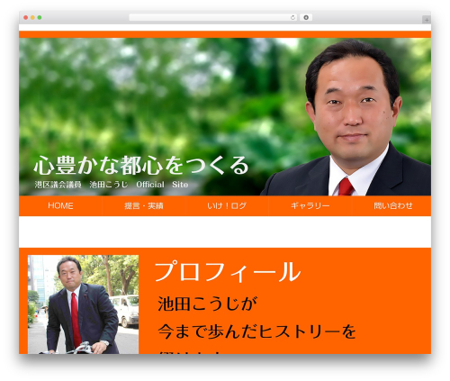 Js WordPress plugin - ikeda55.com
