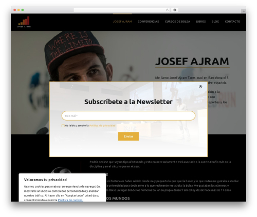 MT Theme theme WordPress - josefajram.es