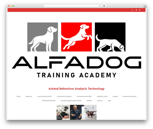 Easy CountDowner (easy-countdowner) free WordPress plugin - alfadog.it
