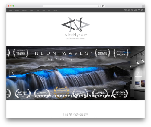WordPress theme Steamify - alexnyeart.com