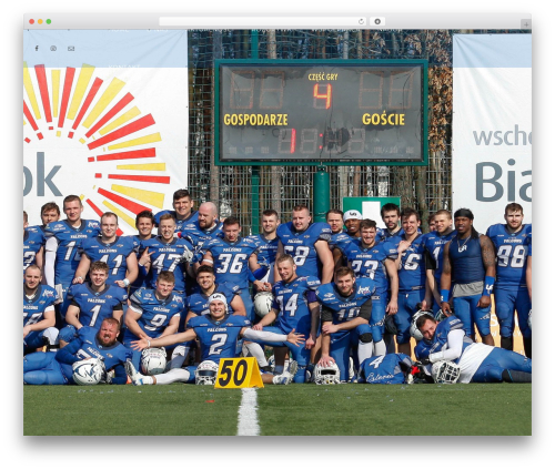 Apcore WordPress plugin - tychy-falcons.com/strona