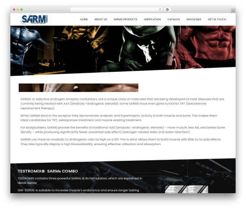 WordPress website theme Webify - sarmscombo.com