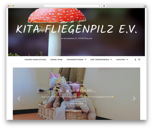 Ashe best WordPress theme - kita-fliegenpilz.de