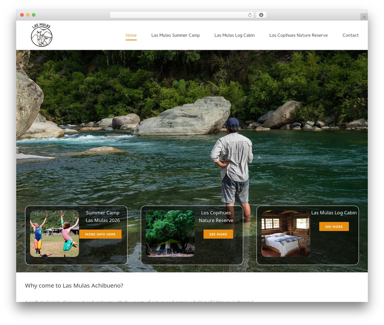 Avada theme WordPress - achibueno.com Avada theme WordPress - achibueno.com