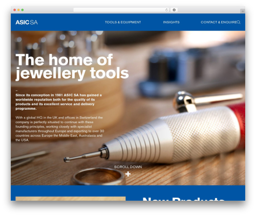 Barebones WordPress theme - asic-sa.com