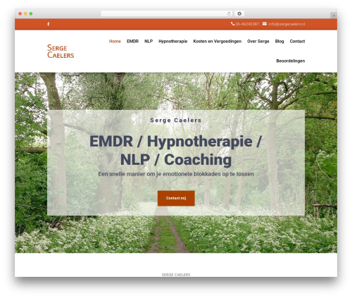 Divi WordPress theme - sergecaelers.nl