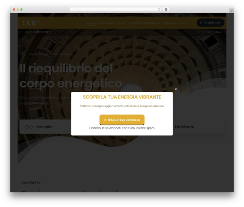 Protected video WordPress plugin - tecnicaenergovibrazionale.com