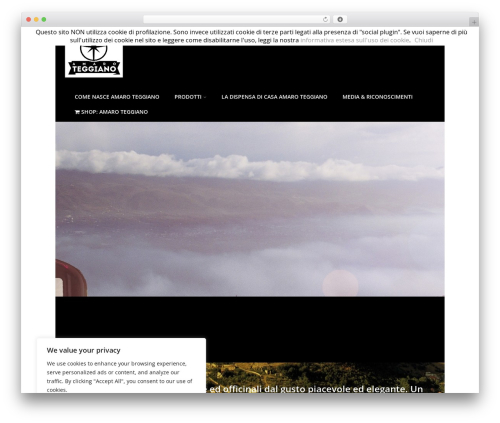 Optimizer PRO premium WordPress theme - amaroteggiano.it