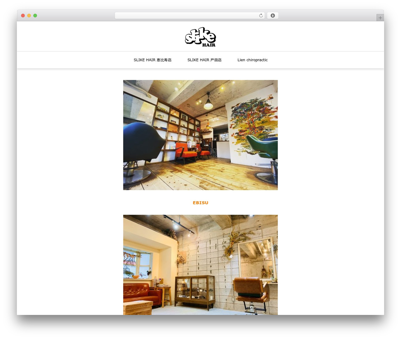 Theme WordPress ONE - slikehair.com