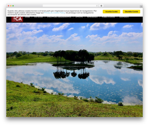 Bridge top WordPress theme - amerindiano.org