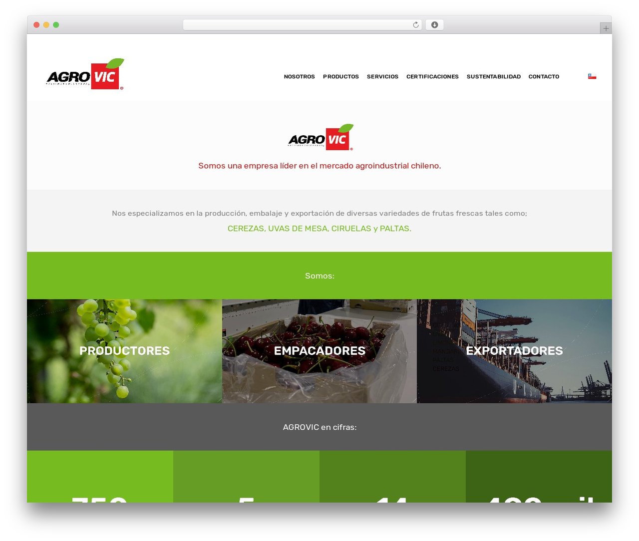 DFD Native theme WordPress - agrovic.cl DFD Native theme WordPress - agrovic.cl