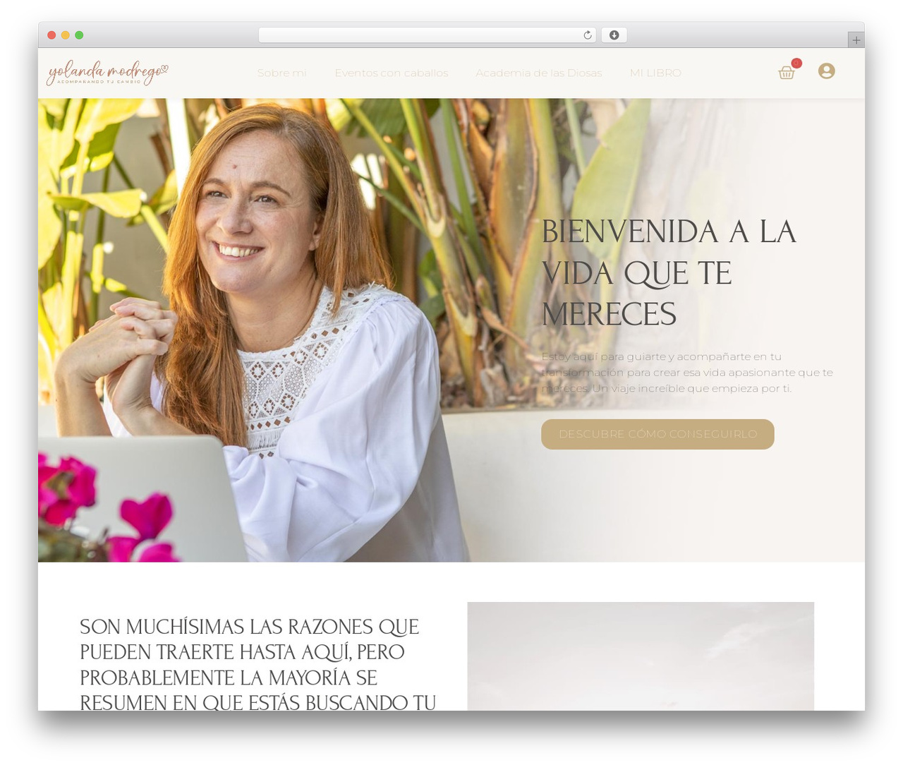 Hello Elementor theme WordPress - yolandamodrego.com