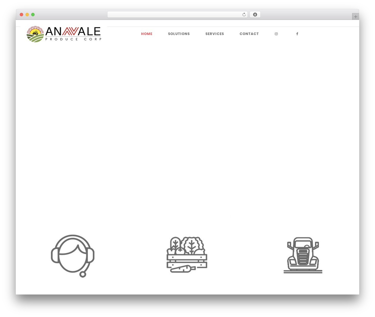 Precise WordPress theme - anavaleproduce.com