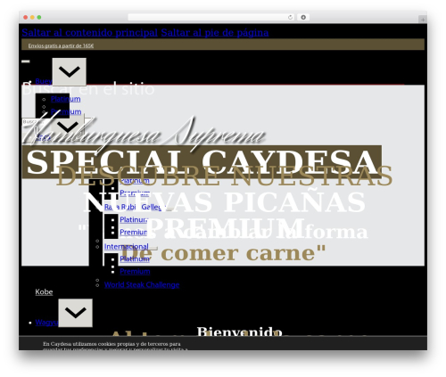 Disco WordPress plugin - tienda.caydesa.com