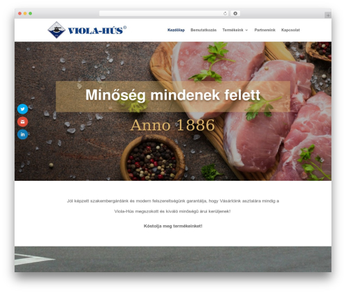Divi WordPress theme - viola-hus.hu